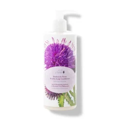 Burdock And Neem Healthy Scalp Conditioner