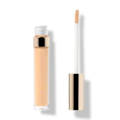 Fruit Pigmented® 2Nd Skin Concealer
