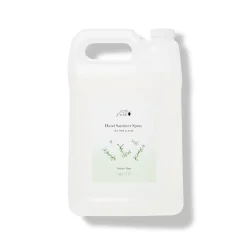Hand Sanitizer Spray